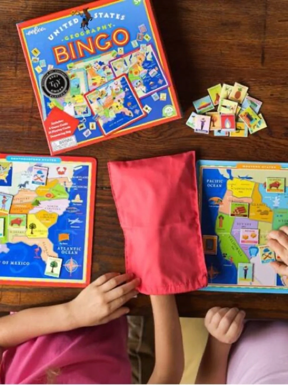 NEW eeBoo United States Geography Bingo Game ~ homeschool classroom games